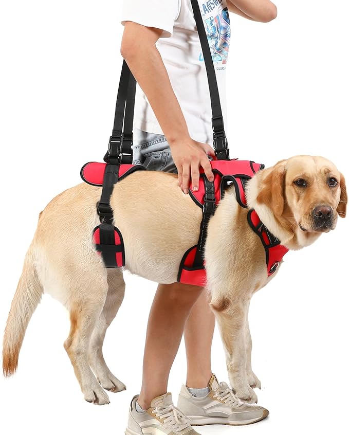 NOYAL Dog Lift Harness Pet Support Rehabilitation Sling Lift Front-Only, Rear-Only or Full-Body for Old, Disabled, Joint Injuries, Arthritis, Loss of Stability Dogs