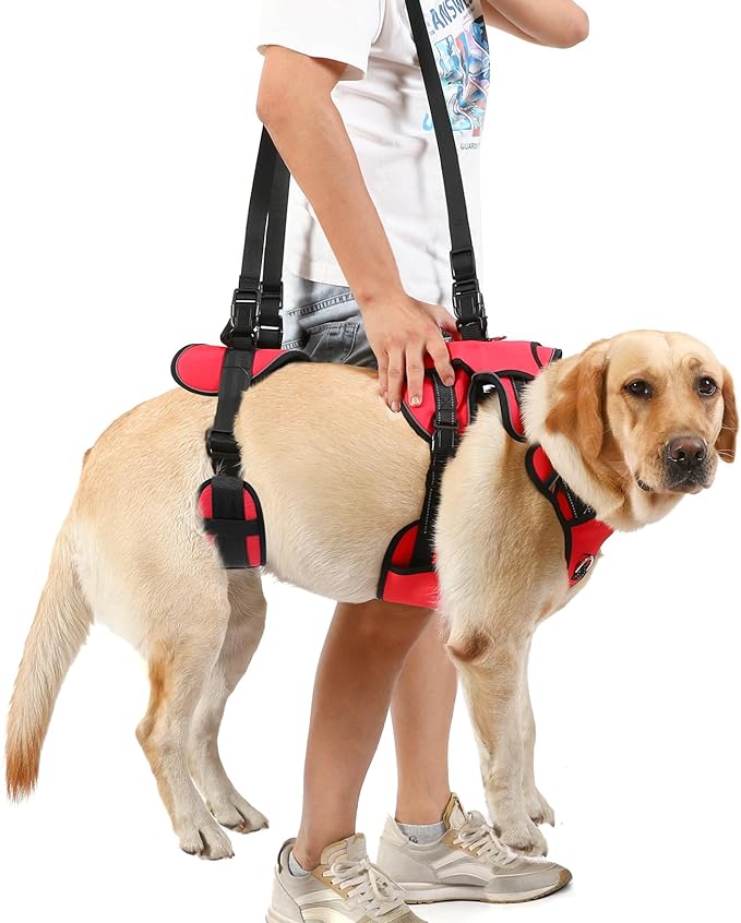 NOYAL Dog Lift Harness Pet Support Rehabilitation Sling Lift Front-Only, Rear-Only or Full-Body for Old, Disabled, Joint Injuries, Arthritis, Loss of Stability Dogs