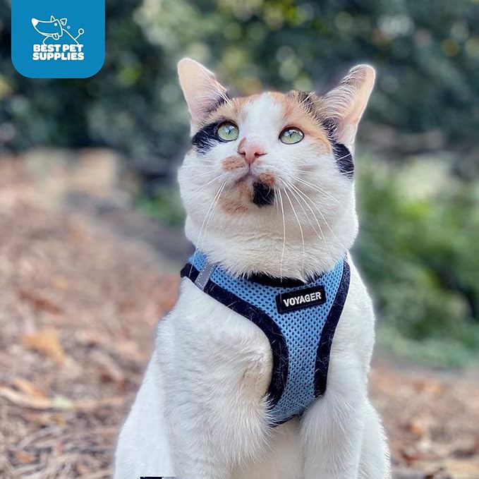 Voyager Step-in Air Dog Harness - All Weather Mesh, Reflective, No Pull Harness for Small, Medium Dogs, Cats - Secure with Hook & Loop Fastener, Buckle, Double D-Rings - Baby Blue/Black Trim, S