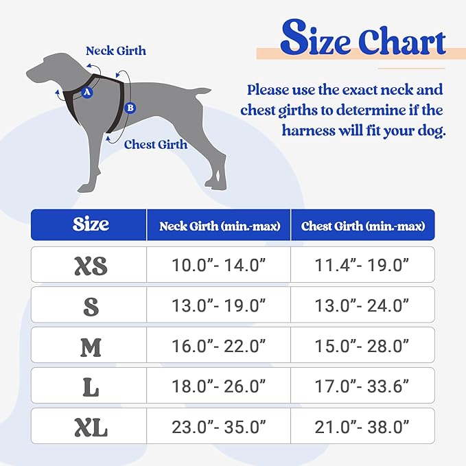 rabbitgoo Dog Harness, No-Pull Pet Harness with 2 Leash Clips, Adjustable Soft Padded Dog Vest, Reflective No-Choke Pet Oxford Vest with Easy Control Handle for Large Dogs, Blue & Orange, S