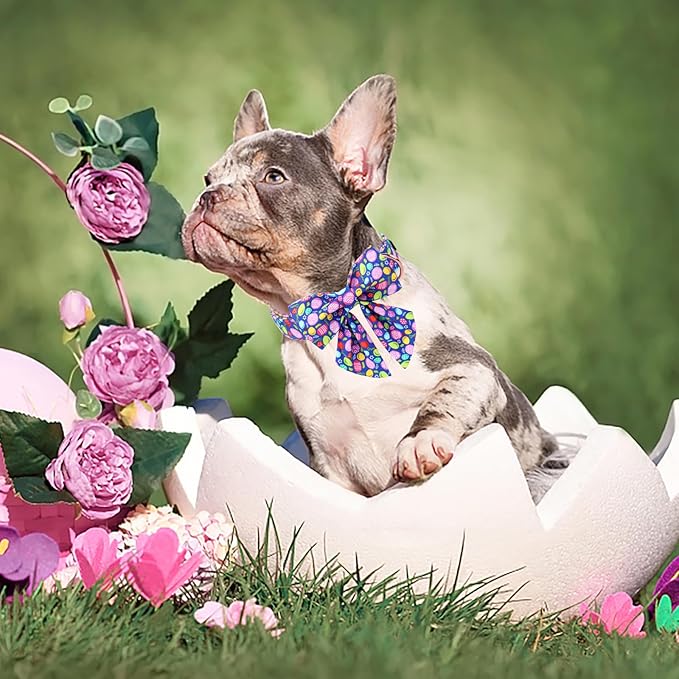 Unique Style Paws Easter Day Dog Collar with Bow Colorful Egg Rabbit Dog Collar Bowtie Bowtie Collar for Large Medium Small Dogs