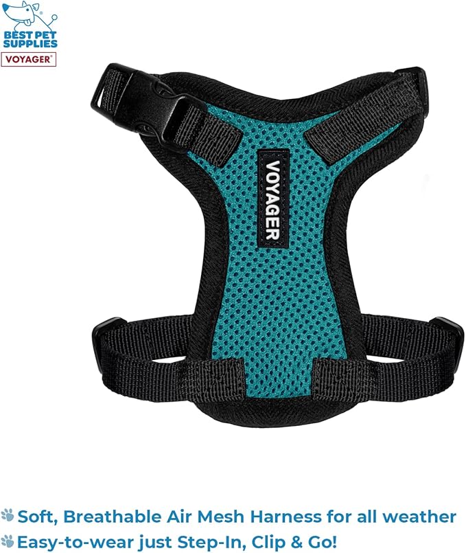 Voyager Step-in Lock Adjustable Cat Harness w. Cat Leash Combo Set with Neoprene Handle 5ft - Supports Small, Medium and Large Breed Cats by Best Pet Supplies - Turquoise/Black Trim, XXXS