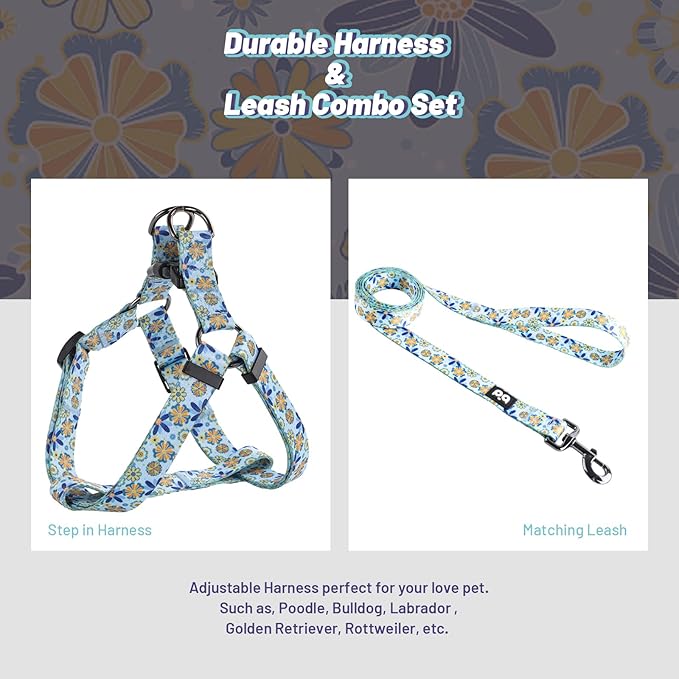 QQPETS Dog Harness Leash Set Adjustable Heavy Duty No Pull Halter Harnesses for Small Medium Large Breed Dogs Back Clip Anti-Twist Perfect for Walking
