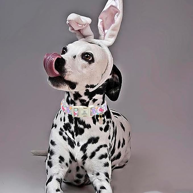 Lionheart glory Easter Dog Collar Colorful Collar for Small Dog Collars Easter Egg Print Dog Collars Spring Female or Male Pet Gift Adjustable Heavy-Duty Holiday Dog Collar Plastic Buckle