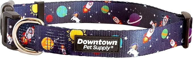 Downtown Pet Supply - Best, Cute & Fancy Dog Collar - Lightweight Adjustable Dog Collar with Quick Buckle & D-Ring - Hand Wash Safe - Space - L - Large Dog Collar