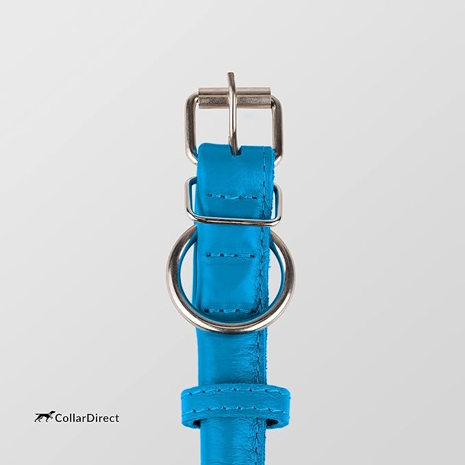 CollarDirect Rolled Leather Dog Collar, Soft Padded Round Puppy Collar, Handmade Genuine Leather Collar Dog Small Large Cat Collars 13 Colors (11-14 Inch, Light Blue Textured)