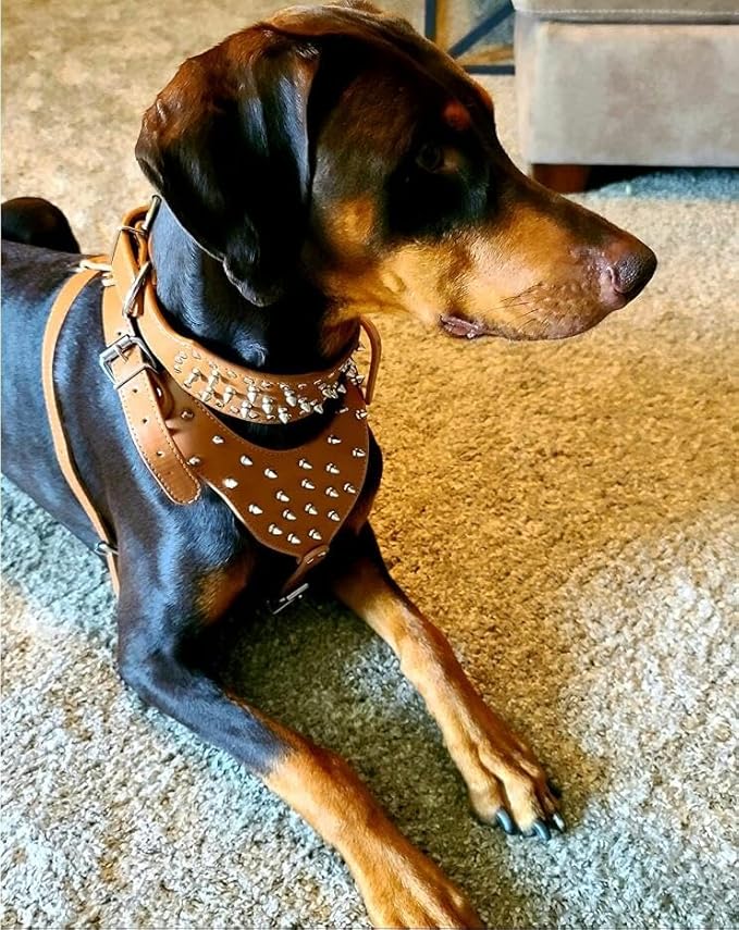 Leather Spiked Studded Harnesses, Collars & Leashes 3Pcs Matching Set for Medium & Large Dogs Pitbull,Mastiff, Boxer, Bull Terrier (Red, M)