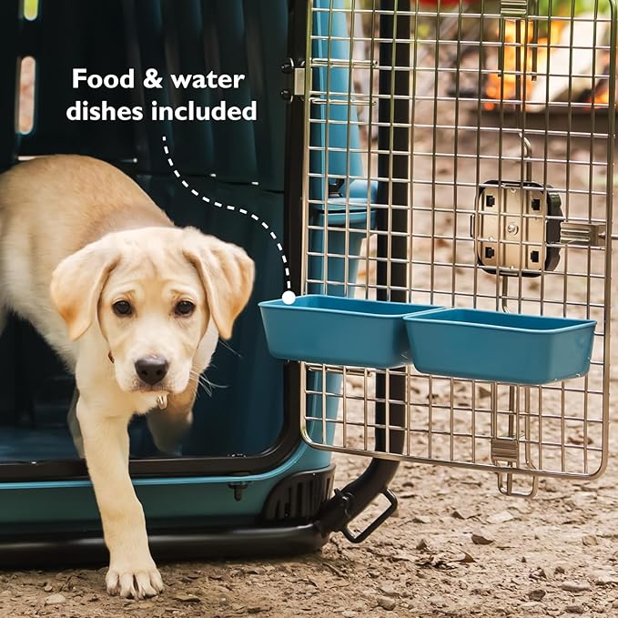 Mammoth Guardian Dog Kennel - Lagoon Blue Kennel