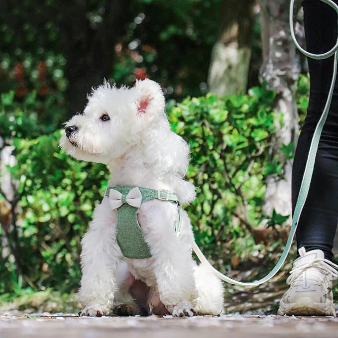 Beirui Small Dog Harness and Leash Set, Soft Lightweight Puppy Harness, Adjustable Bow Tie Puppy Harness for Small Dogs (Green, S)