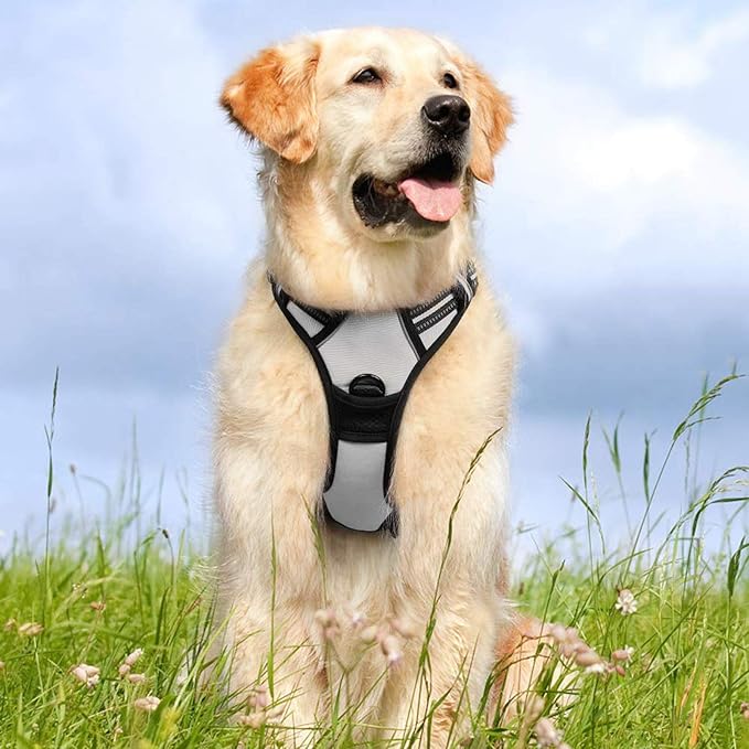 rabbitgoo Dog Harness, No-Pull Pet Harness with 2 Leash Clips, Adjustable Soft Padded Dog Vest, Reflective No-Choke Pet Oxford Vest with Easy Control Handle for Medium Dogs, Grey, M