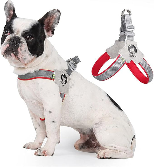 Dog Harness Y-Shaped Harness Breathable Heat Dissipation Easy to Wear Night Reflective Signs for Small and Large Dogs to Wear (Red,S Bust 13in-18in)