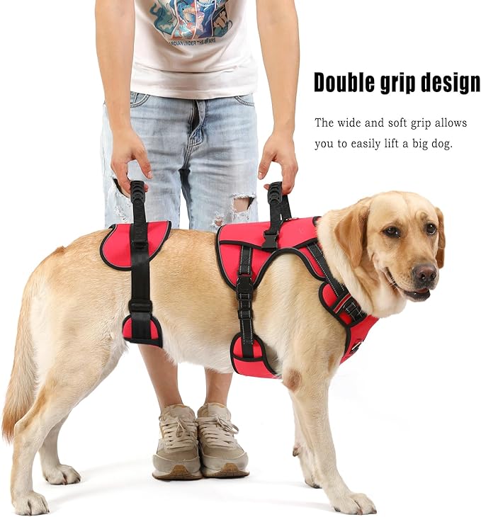 NOYAL Dog Lift Harness Pet Support Rehabilitation Sling Lift Front-Only, Rear-Only or Full-Body for Old, Disabled, Joint Injuries, Arthritis, Loss of Stability Dogs