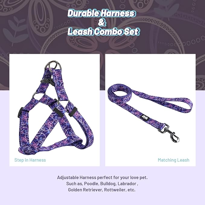 QQPETS Dog Harness Leash Set Adjustable Heavy Duty No Pull Halter Harnesses for Small Medium Large Breed Dogs Back Clip Anti-Twist Perfect for Walking