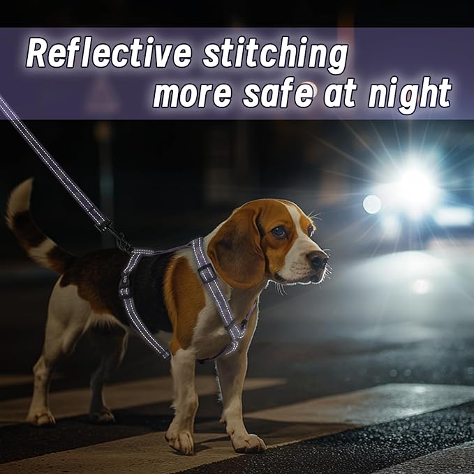 Dog Harness Leash Set, No Pull Adjustable Halter Cute Comfort Padded Handle for Medium Sized Large Small Dogs Walking Training Running with Reflective（Medium,Purple）