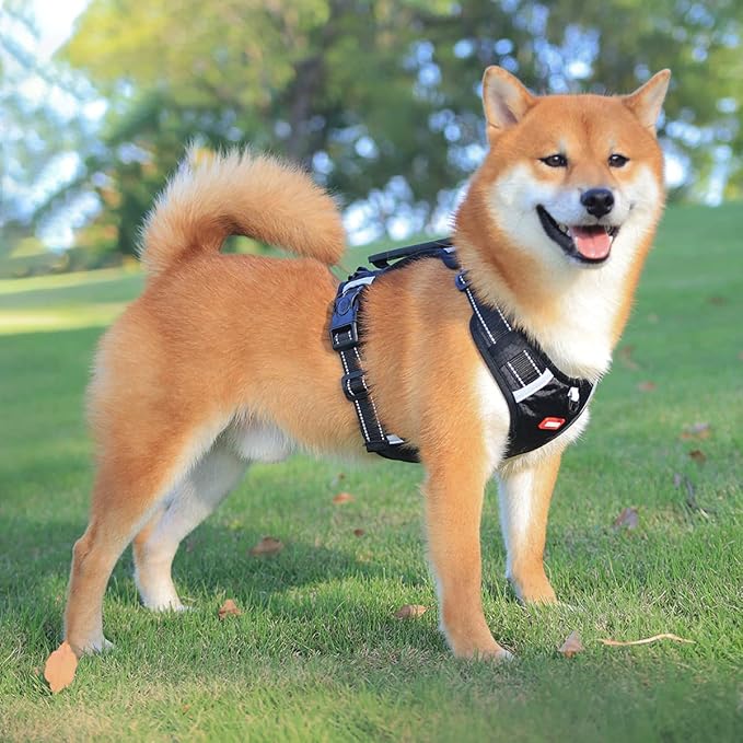 No Pull Dog Harness Reflective No Choke Pet Padded Vest Harness for Small Medium Large Dogs,Breathable Heavy Duty Dog Walking Harness with Easy Control Handle for Outdoor Training Running