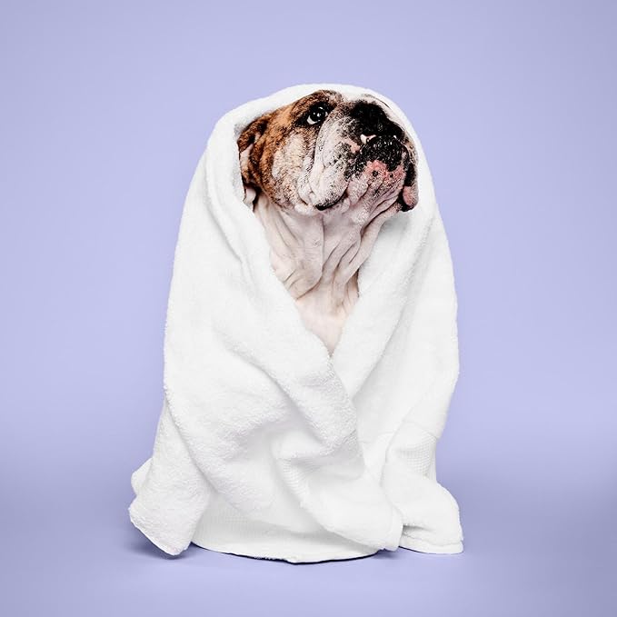 Super Bright Shampoo, Brightening Wash, Whitening Dog Shampoo, 16.9 fl. Oz