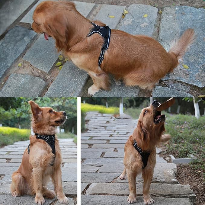 OLizee® New No Pull Dog Harness Outdoor Adventure Reflective Markings Pet Vest with Handle Adjustable Protective Nylon Walking Pet Harness Variety of Sizes and Colors,Black M