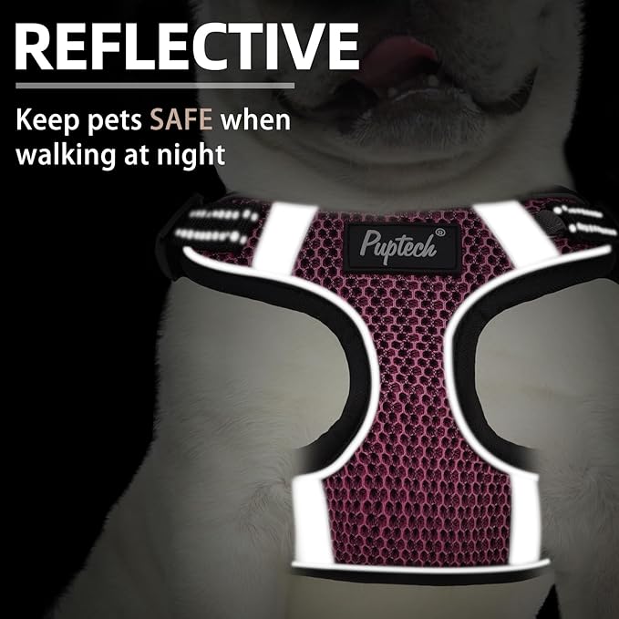 PUPTECK No Pull Dog Harness and Leash Set Reflective No Choke Step in Puppy Halter for XS Small and Medium Sized Dogs, HotPink, Breathable Mesh, L