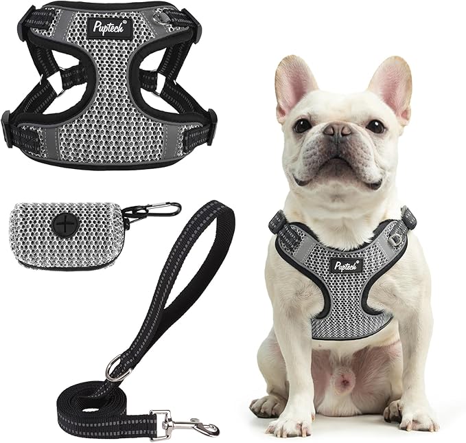PUPTECK Comfortable Dog Vest Harness and Leash Set with Bags, Reflective Dog Harness Set, Step-in No Pull, Adjustable Breathable Mesh Dog Vest Harness, Grey L
