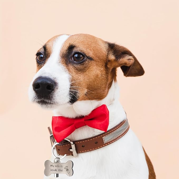 Anti-Lost Pet ID Tag, Easy Update Pet Tag, Pet Gifts,Stylish Dog and Cat ID Tags,Gifts for Dogs and cat Lovers, Address Tube- Quick and Secure Pet Information Management