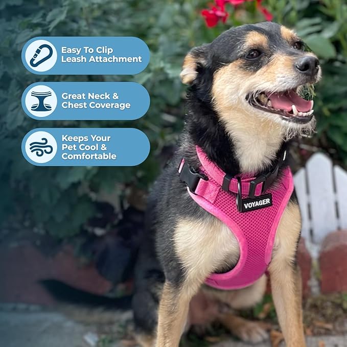 Voyager Step-in Lock Dog Harness w Reflective Dog Leash Combo Set with Neoprene Handle 5ft - Supports Small, Medium and Large Breed Puppies/Cats by Best Pet Supplies - Fuchsia, XS