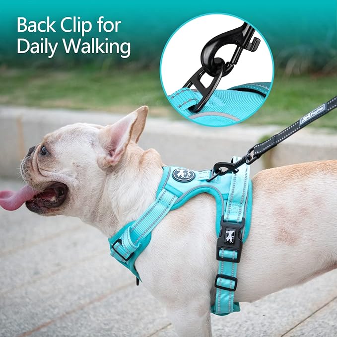 PoyPet No Pull Dog Harness, No Choke Reflective Dog Vest, Adjustable Pet Harnesses with Easy Control Padded Handle for Small Medium Large Dogs(Mint Blue Matching Trim,M)