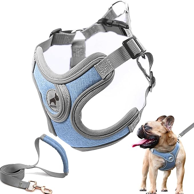 Dog Harness with Leash Set, No Pull Adjustable Step in Dog Collars Harness with Breathable Padded Vest Harness for Small Medium Large Dogs Training and Running(XS, Blue)