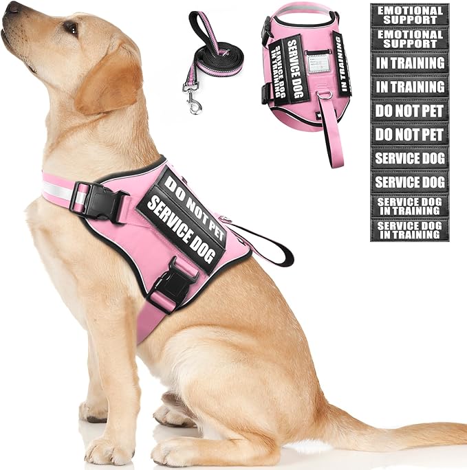 Service Dog Harness and Leash Set, Training Dog Vest with 10 Dog Patches, Emotional Support Therapy Dog Vest Harness for Small Medium Large and Extra Large Dogs(Pink, L)