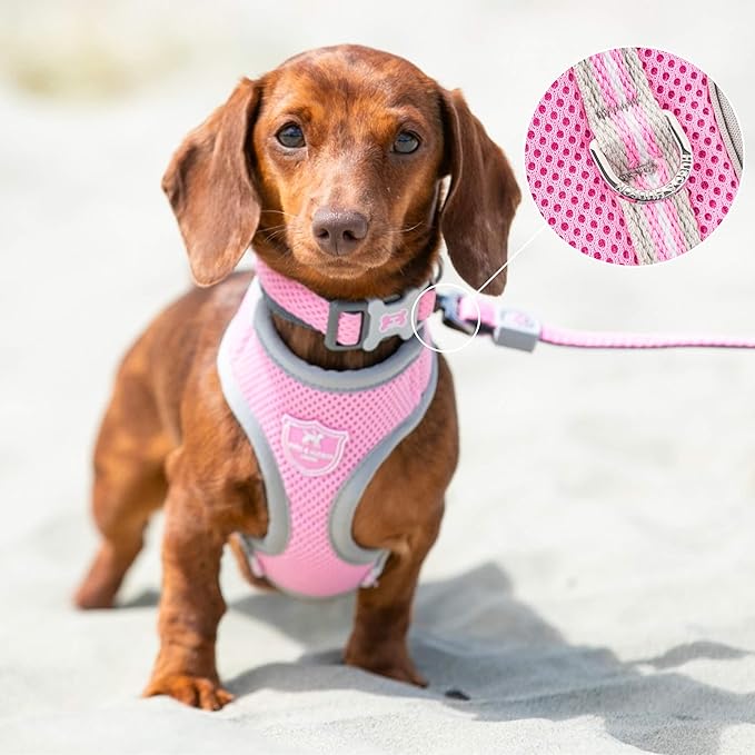 HUGO & HUDSON Dog Harness No-Pull Pet Harness Adjustable Quick Dry Mesh Padded Vest, Pink, L