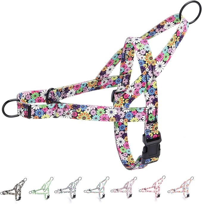 No Pull Dog Harness for Small, Medium, and Large Pets - Floral Pattern Nylon Safety Training Dog Harness (M, Fireworks)