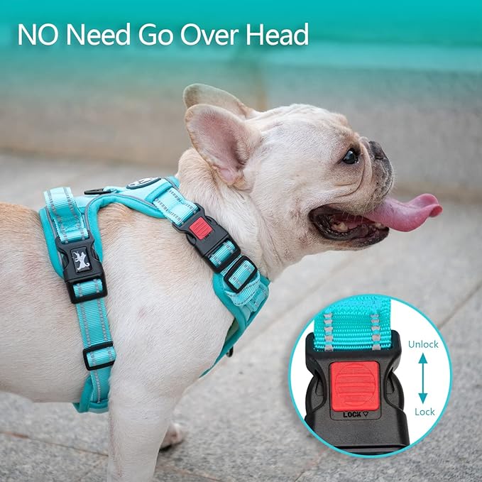 PoyPet No Pull Dog Harness, No Choke Reflective Dog Vest, Adjustable Pet Harnesses with Easy Control Padded Handle for Small Medium Large Dogs(Mint Blue Matching Trim,S)