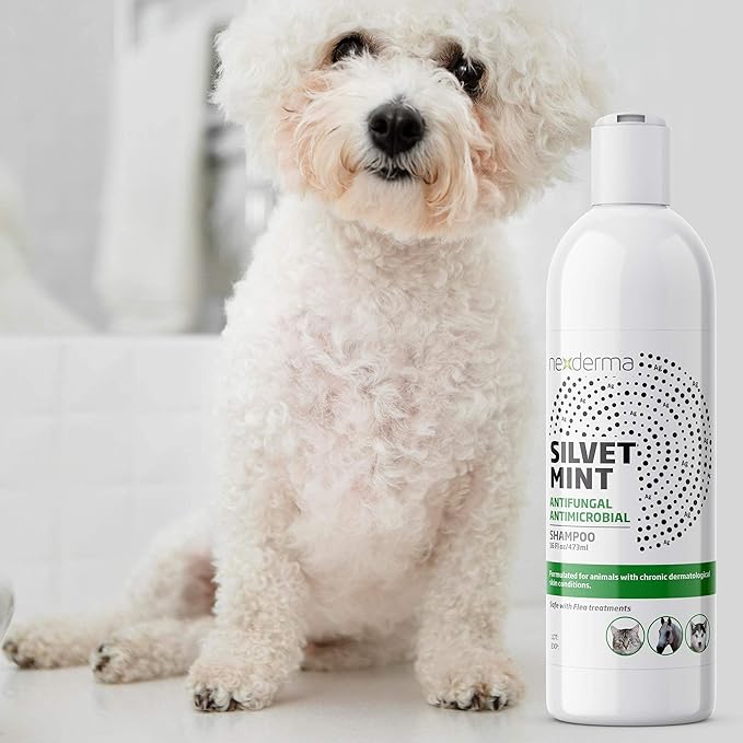 Natural Colloidal Medicated Pet Shampoo for Dogs and Cats - Tearless Hypoallergenic, Soap Free with Coconut Oil and Mint, Relief for Allergies, Odor, Itchy, Dry, Irritated Skin - 16oz, 1Pack