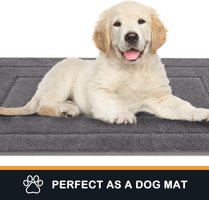 PURRUGS Dirt Trapper Door Mat 24" x 59.5", Non-Slip/Skid Machine Washable Entryway Rug, Dog Door Mat, Super Absorbent Welcome Mat for Muddy Wet Shoes and Paws, Grey