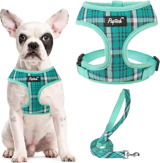 PUPTECK Soft Mesh Dog Harness and Leash Set Pet Puppy Cat Comfort Padded Vest No Pull Harnesses, Green, M