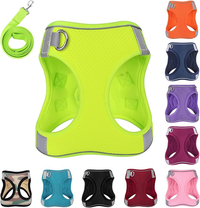 Dog Harness with Leash Set, No-Pull Step-in Reflective Pet Harness with 1 Leash Clips, Adjustable Soft Padded Easy Walk Dog Vest for Small Medium Large Dogs, Cats(Fluorescent, XXXSmall)