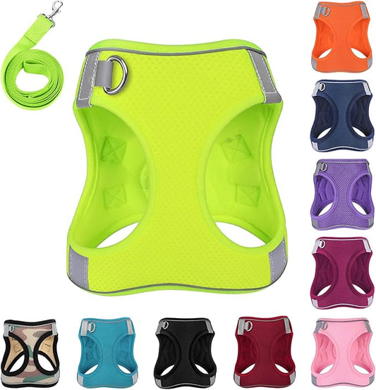 Dog Harness with Leash Set, No-Pull Step-in Reflective Pet Harness with 1 Leash Clips, Adjustable Soft Padded Easy Walk Dog Vest for Small Medium Large Dogs, Cats(Fluorescent, Large)