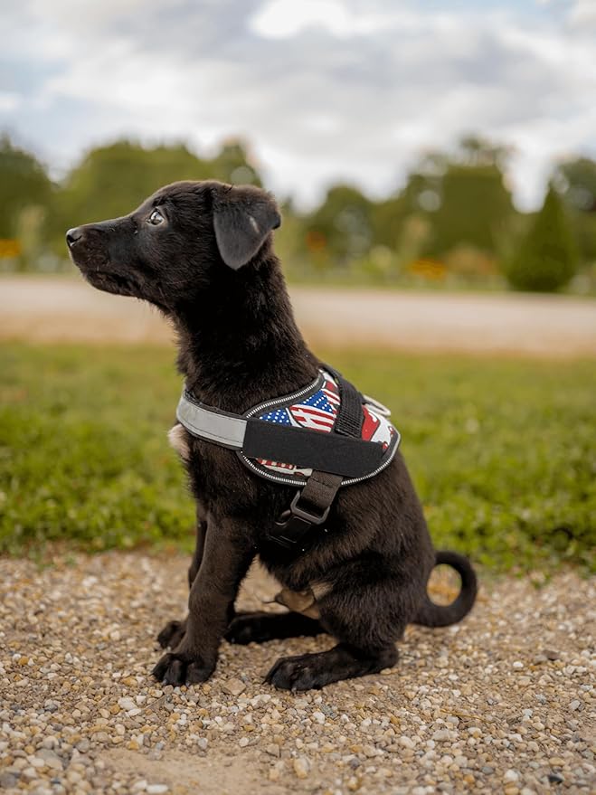 Non Pull Dog Harness with Patch Panels and Handle, Adjustable, Reflective, No Choke, Heavy Duty Easy On Service Dog Vest Harnesses for Medium Large Small Sized Dogs - Military Desert, XS