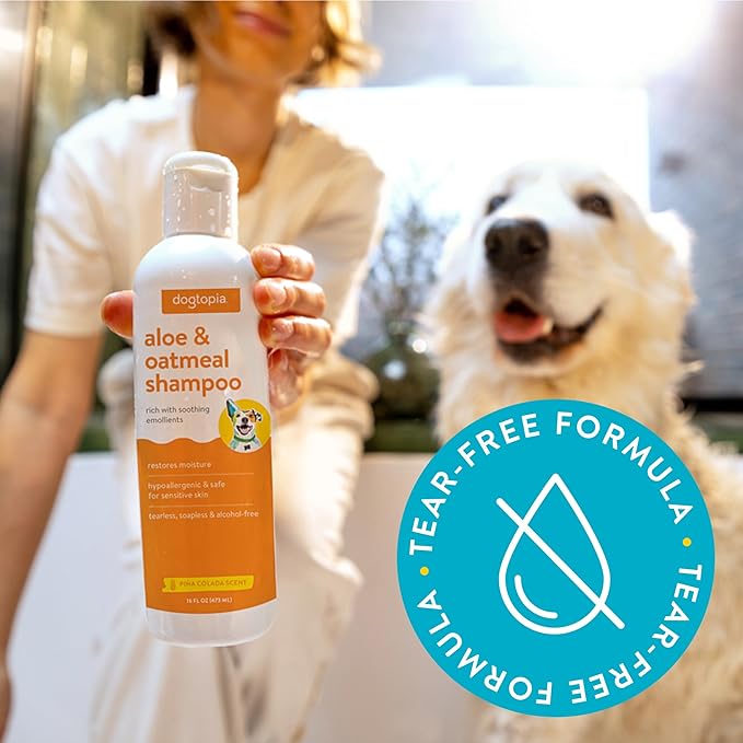 Everyday Aloe & Oatmeal Shampoo – Piña Colada Scent (16oz) | Nourishing Shampoo for Dogs and Cats Rich with Soothing Emollients | Alcohol-Free, Soapless & Tearless
