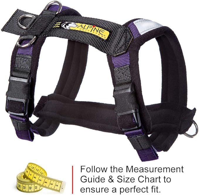 Urban Trail Adjustable Harness(Small_Purple)