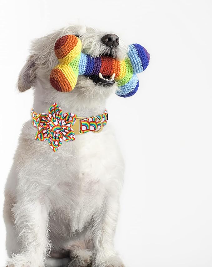 Lionet Paws Rainbow Female Dog Collar with Flower, Soft and Comfortable Adjustable LGBT Pride Collar for Dogs, Small, Neck 10-16 inches