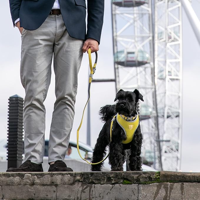 HUGO & HUDSON Dog Harness No-Pull Pet Harness Adjustable Quick Dry Mesh Padded Vest, Yellow, L