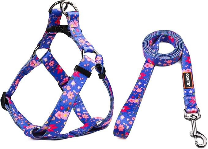 QQPETS Dog Harness Leash Set Adjustable Heavy Duty No Pull Halter Harnesses for Small Medium Large Breed Dogs Back Clip Anti-Twist Perfect for Walking (S(14"-20" Chest Girth), Cornflower Blue)