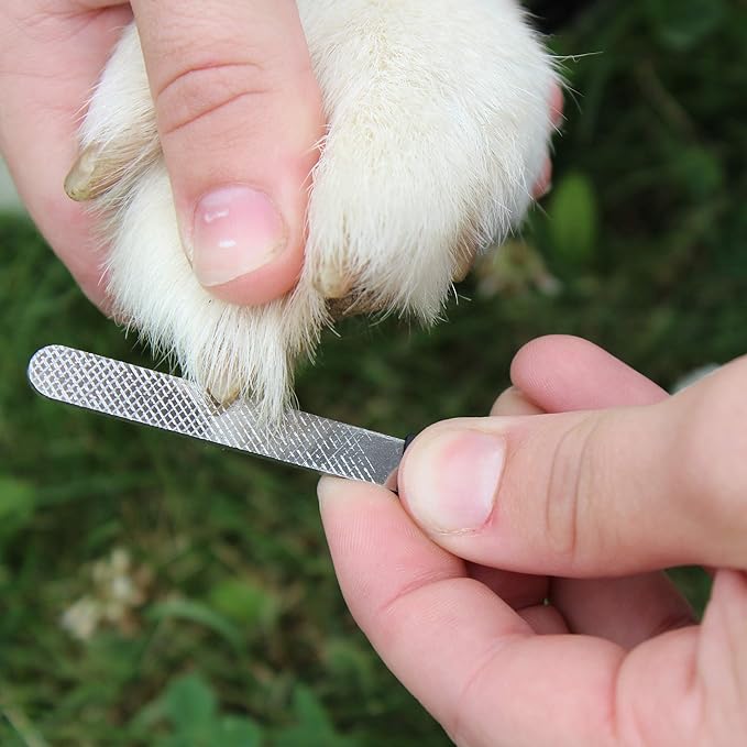 Professional Pet Heavy Duty Nail Clipper, Royal Blue, Large