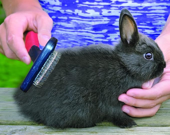 Lixit Grooming Kits For Rabbits, Guinea Pigs and other Small Animals. (4 Piece Kit)