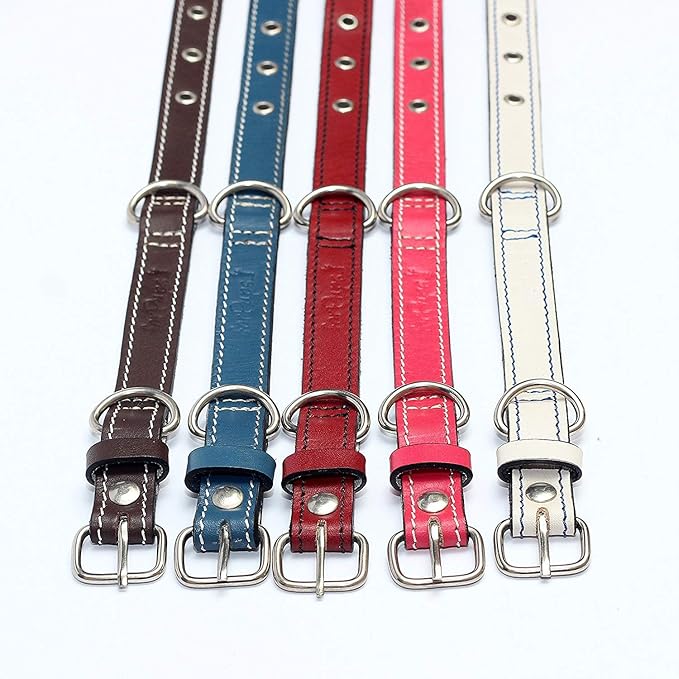 Premium Leather Collars with Stainless Steel Buckles (12"-15", White)