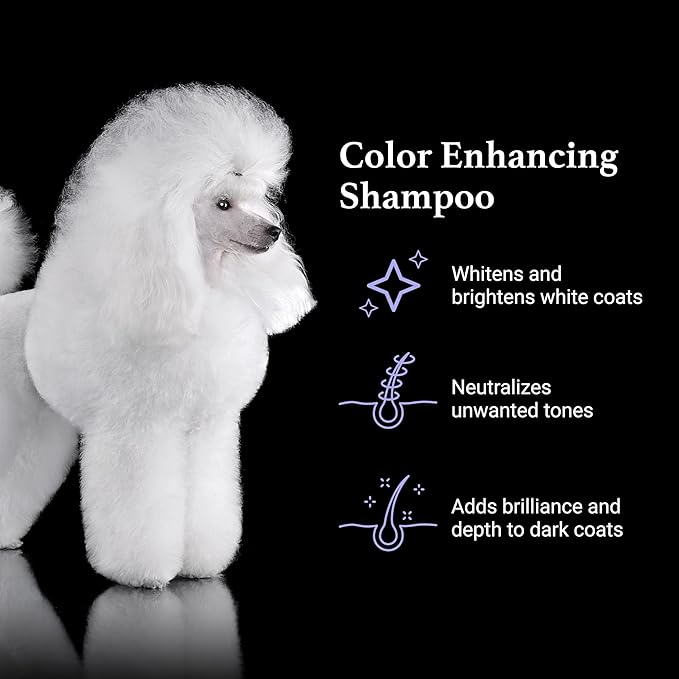 iGroom True Color Dog Shampoo, Coat Luxury Pet Beauty Care, Brighten, Enhance and Restore Natural Coat Color, Add Moisture and Condition, Made in USA, 16 oz