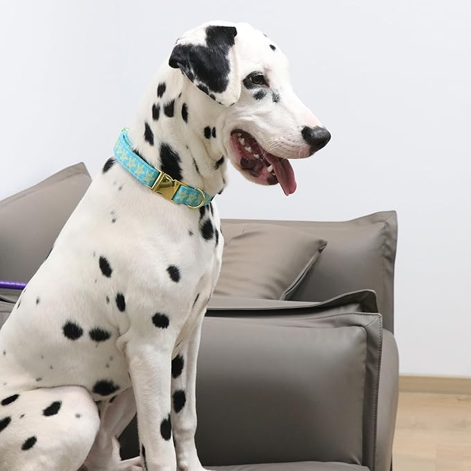 Lionet Paws Boy Dog Collar, Comfortable Adjustable Cute Yellow Starfish Collar with Metal Buckle for Male Dogs Gift, Large, Neck 16-24 inches