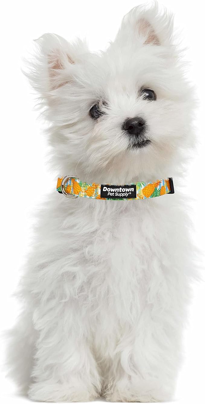 Downtown Pet Supply - Best, Cute & Fancy Dog Collar - Lightweight Adjustable Dog Collar with Quick Buckle & D-Ring - Hand Wash Safe - Pineapple - L - Large Dog Collar