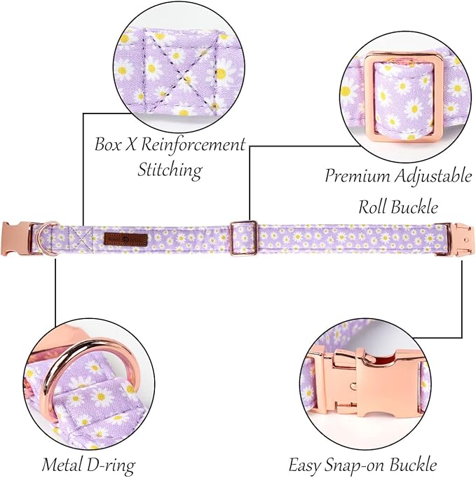 Lionet Paws Dog Collar, Comfortable Adjustable Cute Collar with Metal Buckle for Male Female Dogs Gift, Purple Daisy, Small, Neck 10-16 inches