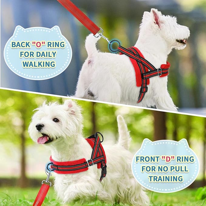 SlowTon No Pull Small Dog Harness and Leash Set, Puppy Soft Vest Harness Neck & Chest Adjustable, Reflective Lightweight Harness & Anti-Twist Pet Lead Combo for Small Medium Dogs (R-Front Clip,S)